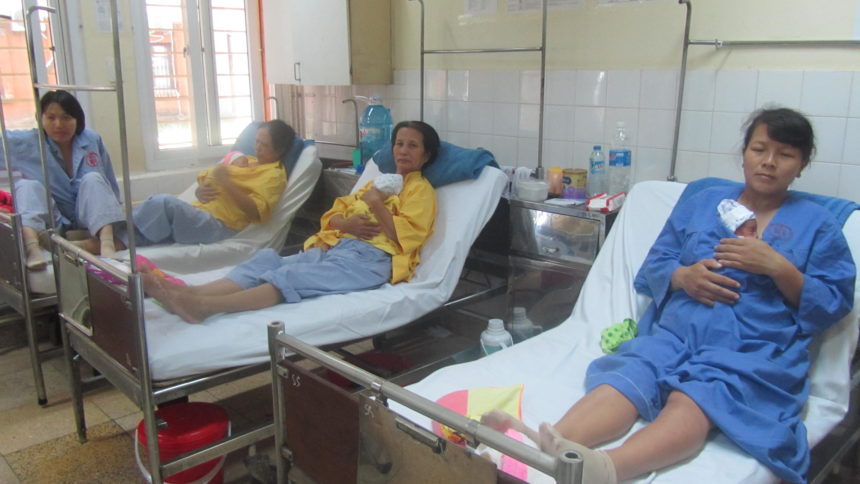 Promozione della marsupioterapia in Vietnam