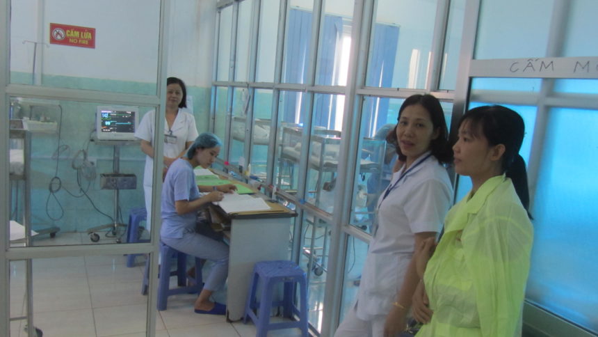 Promozione della marsupioterapia in Vietnam